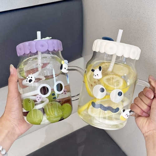 cute high borosilicate glass water bottle with straw and handle
